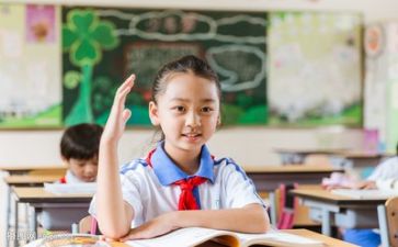 教师学习心得体会精选5篇