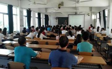 系学习部个人总结6篇