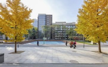 学校职工会工作总结7篇