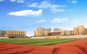 学校优秀教师工作总结8篇