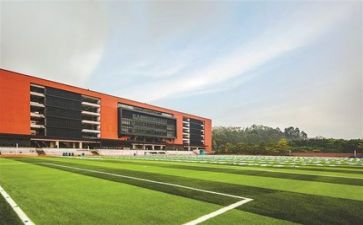 学校文化活动总结范文优质7篇