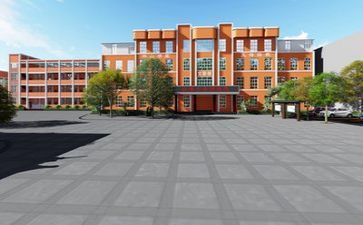 学校开展志愿服务活动总结6篇