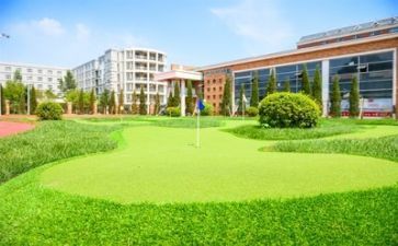 2023学校工作个人总结精选7篇
