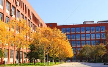 学校工作总结校长6篇