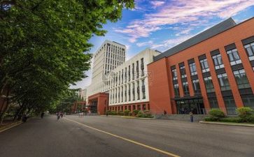 学校文化活动总结范文8篇