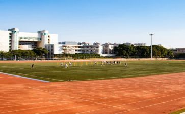 学校教师新工作总结范文精选8篇