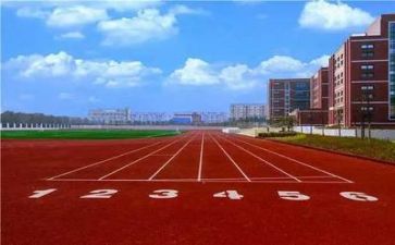 学校食堂年终总结范文5篇