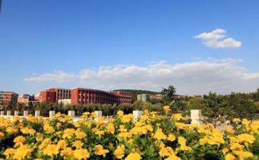 职业学校工作总结8篇