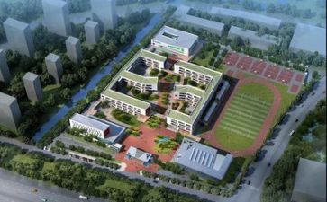 学校政教工作总结6篇