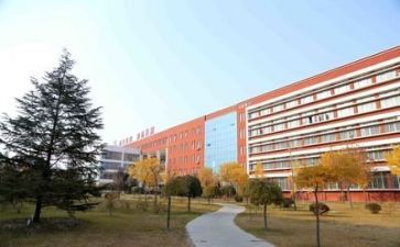 学校教师的年终总结8篇