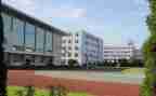 学校工作总结6篇