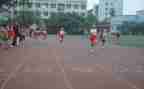学校体育节活动方案6篇