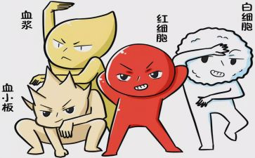 护士血液中心工作总结8篇