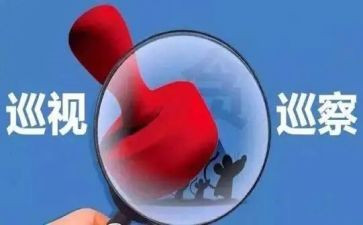 被巡察工作个人总结5篇