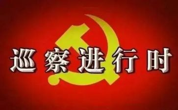 巡察工作的个人总结5篇