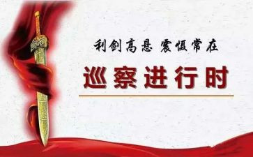 党支部巡察工作汇报材料5篇