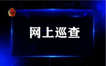 巡查队的工作总结8篇