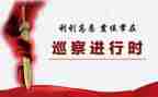 党支部巡察工作汇报材料5篇