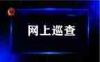 向巡查组工作总结8篇