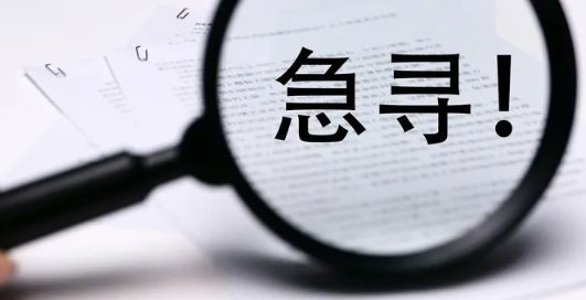 寻访实践报告6篇