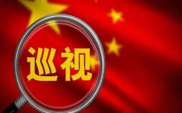 巡视工工作总结5篇