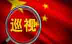 巡视工工作总结5篇