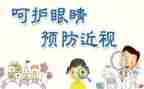 眼睛的教案通用7篇