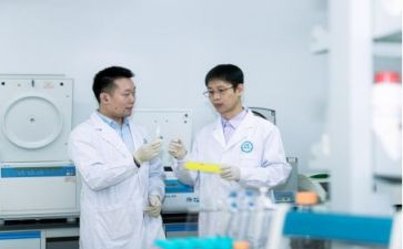 研发员个人工作总结8篇