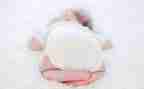 宝宝上幼儿园小班教案5篇