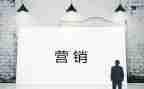 营销个人工作总结5篇