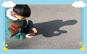 影子的心得体会7篇