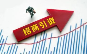 各政府招商引资工作总结5篇