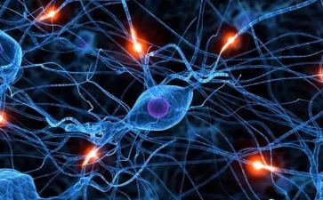 意识形态个人总结2022精选8篇