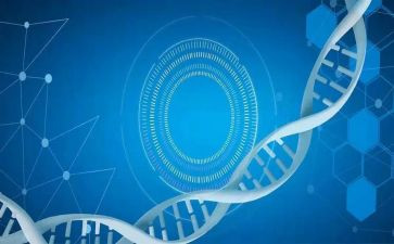 医学生实习生自我鉴定总结7篇