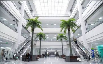 医院个人年度工作总结个人8篇