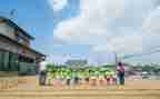 幼儿园学期工作总结2022精选7篇
