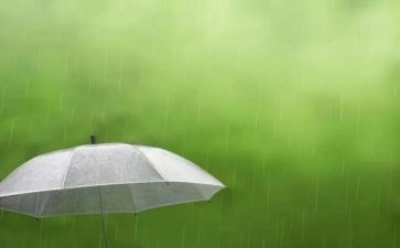 呼风唤雨的世纪教学反思6篇
