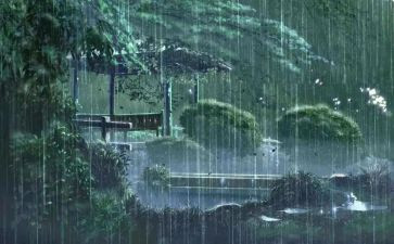 雨霖铃教案5篇