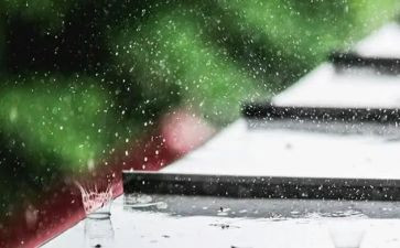 雨和疫情作文优质8篇