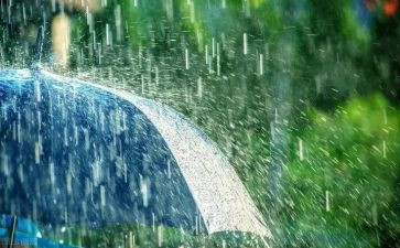 雷雨800字读后感8篇
