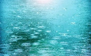 郑州暴雨心得体会7篇