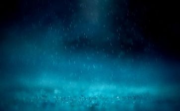 读余秋雨散文读后感6篇