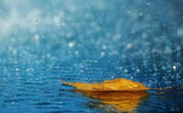 下雨诗教案8篇