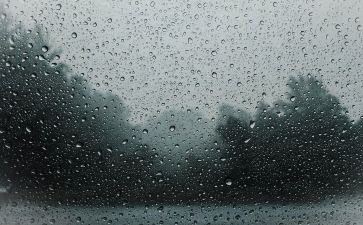 雷雨,读后感5篇