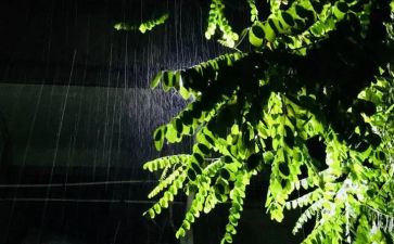 江南雨作文7篇
