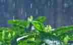 关于雨的幼儿教案优秀5篇