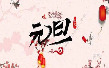 元旦活动教师总结6篇