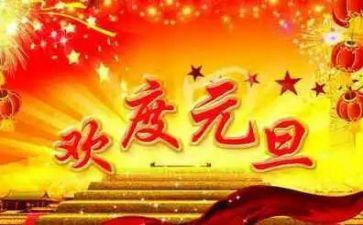 学生会元旦活动总结5篇