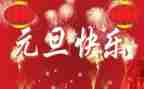 小学庆元旦活动总结优秀7篇