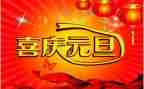 庆元旦活动方案和活动总结5篇